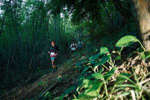 BIB: 
                            <button type="button" onclick="openModal(28123888)" class="btn btn-primary btn-sm float-right btn-popup" data-toggle="modal" data-target=".modal-high-quality">
                        <i class="fas fa-shopping-cart"></i> Add to Cart
                    </button>
                                            <button type="button" onclick="isThisMe(28123888, true)" class="btn btn-success btn-sm float-right btn-popup btn-isme hidden" data-toggle="tooltip" data-placement="bottom" title="นี่คือรูปของคุณใช่ไหม คลิกที่นี่เพื่อเอาเข้าอัลบั้ม">
                        <i class="fas fa-plus"></i> Add to album
                    </button>
                    <button type="button" onclick="isThisMe(28123888, false)" class="btn btn-warning btn-sm float-right btn-popup btn-isnotme hidden">
                        <i class="fas fa-ban"></i> Remove from album
                    </button>